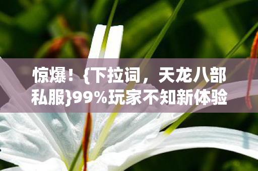 玩家不知新体验爽翻图片