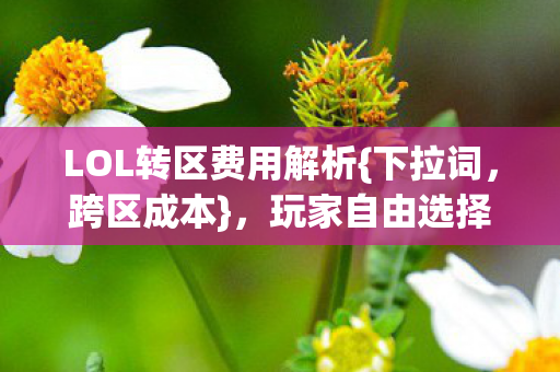 LOL转区费用解析{下拉词，跨区成本}，玩家自由选择背后的代价