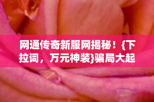 网通传奇新服网揭秘!{下拉词,万元神装}骗局大起底 网通传奇新服网揭秘!{下拉词,万元神装}骗局大起底