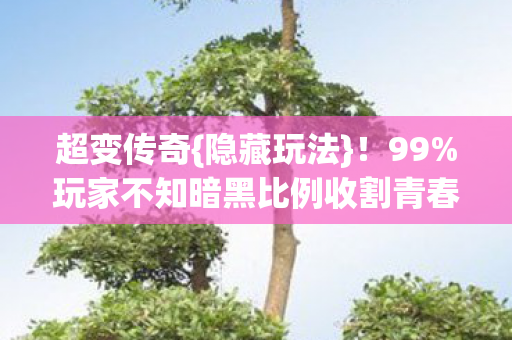 超变传奇{隐藏玩法}！99%玩家不知暗黑比例收割青春