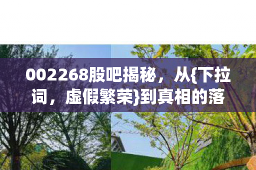 002268股吧揭秘，从{下拉词，虚假繁荣}到真相的落差