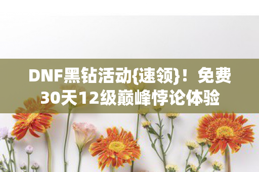 免费30天12级巅峰悖论体验图片