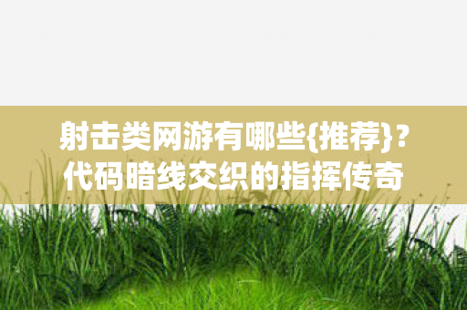 代码暗线交织的指挥传奇图片