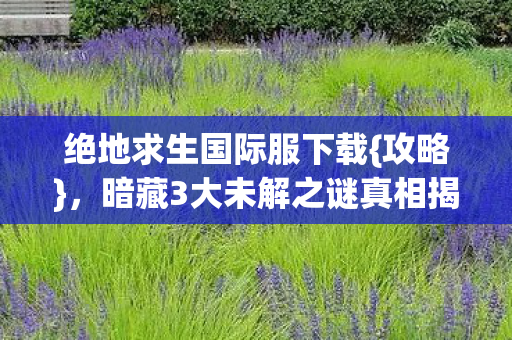 暗藏3大未解之谜真相揭秘图片