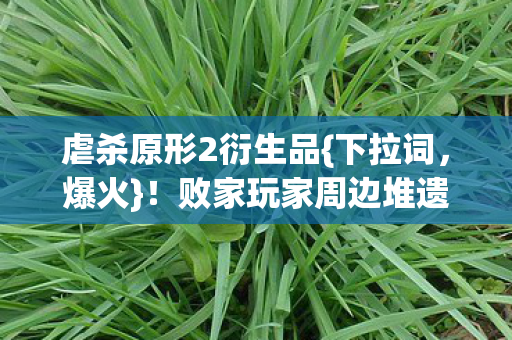 败家玩家周边堆遗像狂欢图片