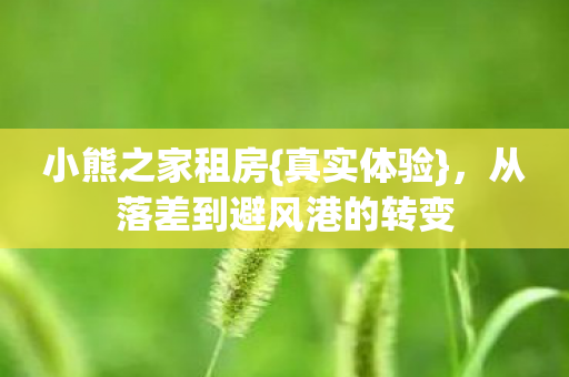 从落差到避风港的转变图片