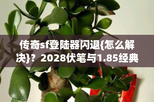 传奇sf登陆器闪退图片