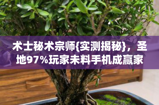 玩家未料手机成赢家图片