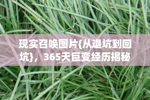 现实召唤图片{从退坑到回坑}，365天巨变经历揭秘