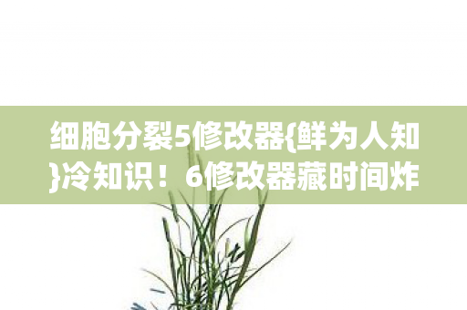 细胞分裂5修改器{鲜为人知}冷知识!6修改器藏时间炸弹 细胞分裂5修改器{鲜为人知}冷知识!6修改器藏时间炸弹