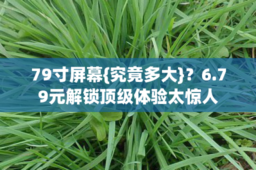 79寸屏幕{究竟多大}?6.79元解锁顶级体验太惊人 79寸屏幕{究竟多大}?6.79元解锁顶级体验太惊人