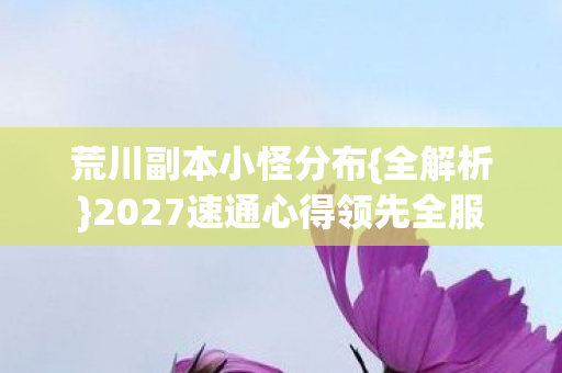 2027速通心得领先全服图片