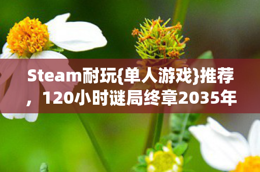120小时谜局终章2035年冬图片