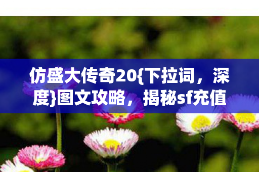 揭秘sf充值黑洞真相图片