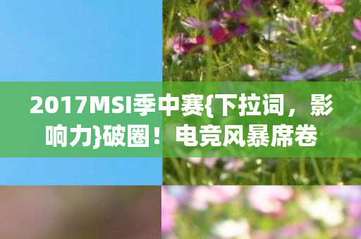 2017MSI季中赛图片