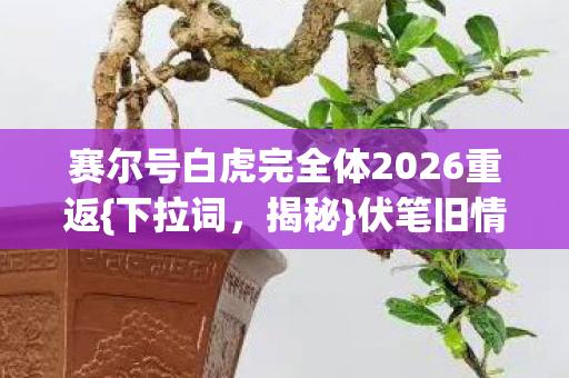 赛尔号白虎完全体2026重返图片