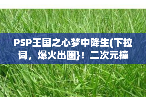 PSP王国之心梦中降生图片