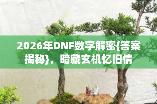 2026年DNF数字解密图片
