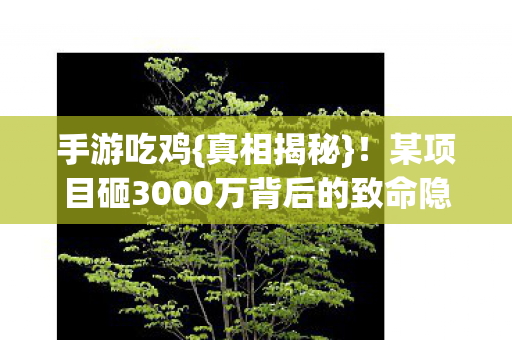 某项目砸3000万背后的致命隐情图片