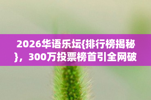 300万投票榜首引全网破防图片