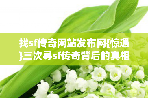 找sf传奇网站发布网{惊遇}三次寻sf传奇背后的真相 找sf传奇网站发布网{惊遇}三次寻sf传奇背后的真相