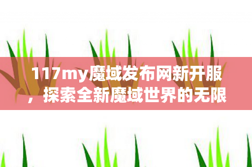 117my魔域发布网新开服图片
