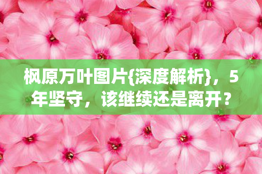 该继续还是离开图片