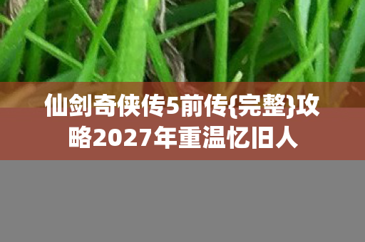 攻略2027年重温忆旧人图片