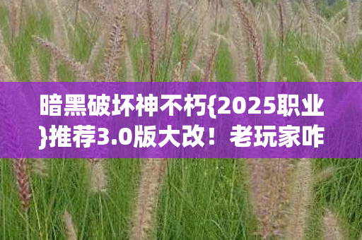 暗黑破坏神不朽图片