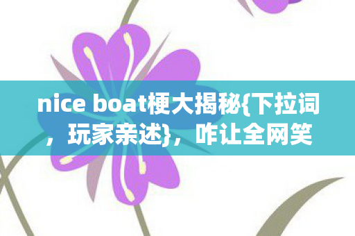 nice boat梗大揭秘图片