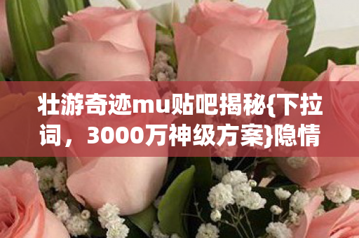 壮游奇迹mu贴吧揭秘图片