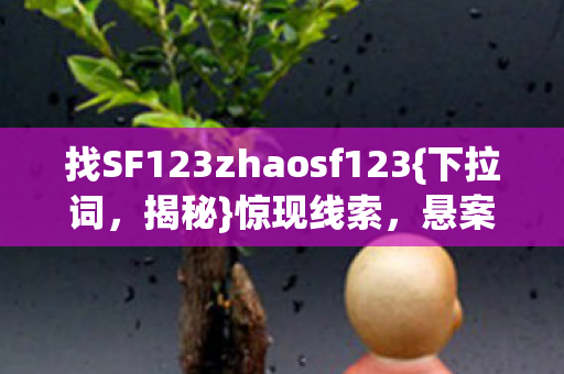 找SF123zhaosf123图片