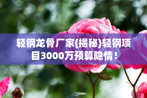 轻钢项目3000万预算隐情图片