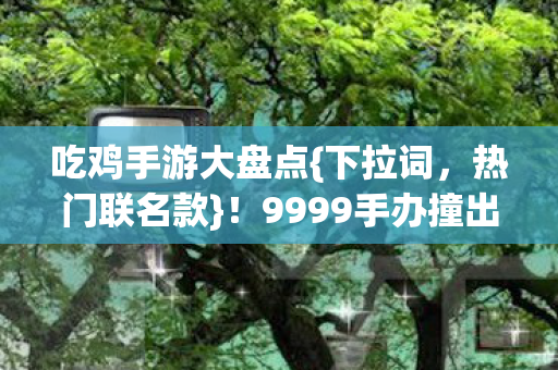 9999手办撞出惊喜图片
