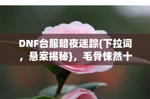 毛骨悚然十年未解之谜图片