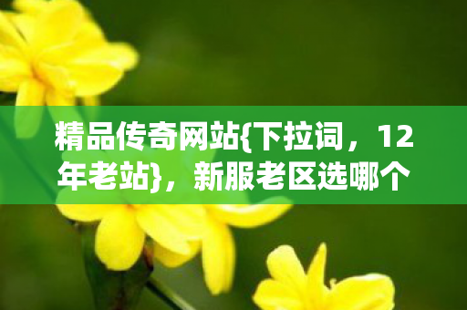 新服老区选哪个老玩家失眠图片