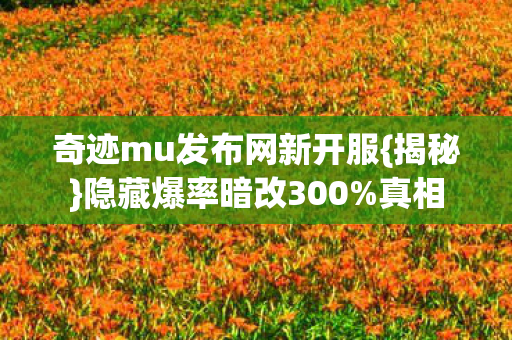 奇迹mu发布网新开服图片