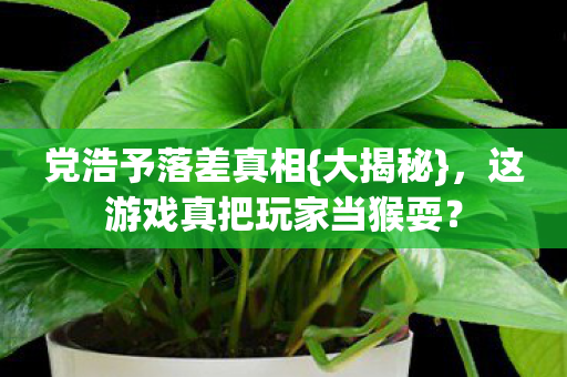 这游戏真把玩家当猴耍图片