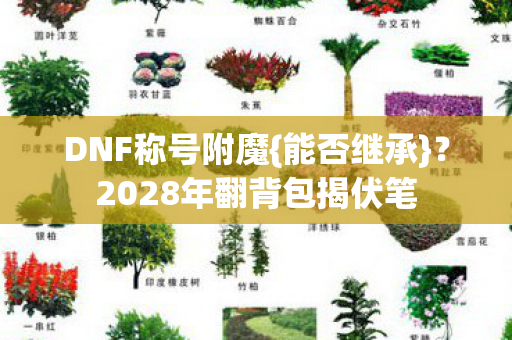 2028年翻背包揭伏笔图片