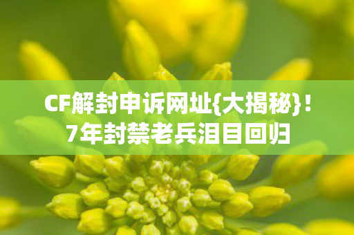 7年封禁老兵泪目回归图片