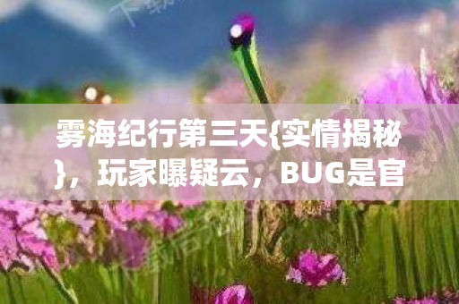 BUG是官方暗演图片