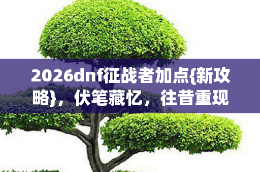 2026dnf征战者加点图片