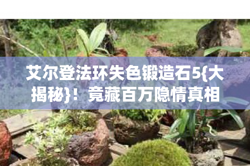 艾尔登法环失色锻造石5图片