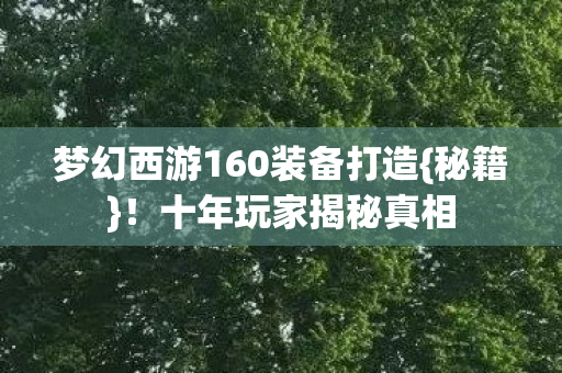梦幻西游160装备打造图片