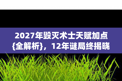 2027年毁灭术士天赋加点{全解析},12年谜局终揭晓 2027年毁灭术士天赋加点{全解析},12年谜局终揭晓