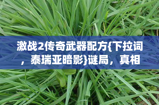 激战2传奇武器配方{下拉词,泰瑞亚暗影}谜局,真相待解! 激战2传奇武器配方{下拉词,泰瑞亚暗影}谜局,真相待解!