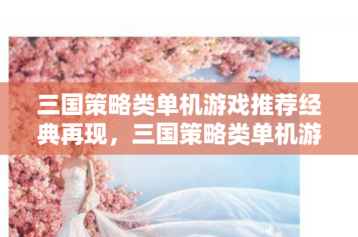 三国策略类单机游戏推荐经典再现,三国策略类单机游戏的魅力与策略,三国策略类单机游戏,经典再现与策略魅力 三国策略类单机游戏推荐经典再现,三国策略类单机游戏的魅力与策略,三国策略类单机游戏,经典再现与策略魅力