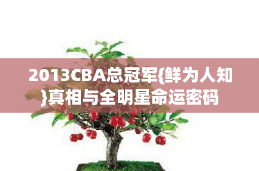 2013CBA总冠军图片