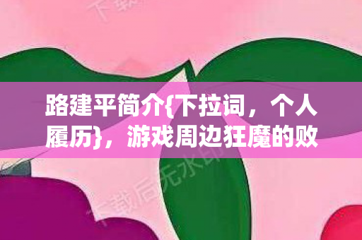 路建平简介{下拉词,个人履历},游戏周边狂魔的败家人生 路建平简介{下拉词,个人履历},游戏周边狂魔的败家人生