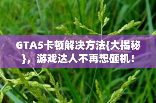 GTA5卡顿解决方法{大揭秘}，游戏达人不再想砸机！